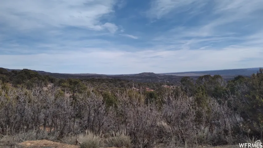 Expansive undeveloped land featuring natural foliage and a distant horizon