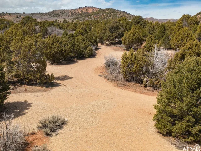 Expansive natural landscape featuring a winding gravel path, abundant evergreen trees, and distant hills