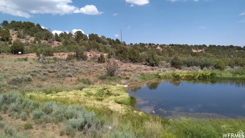 Natural pond feature surrounded by varied vegetation and rolling hills