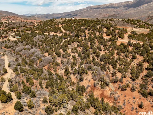 Expansive desert landscape featuring rolling hills and numerous evergreen trees