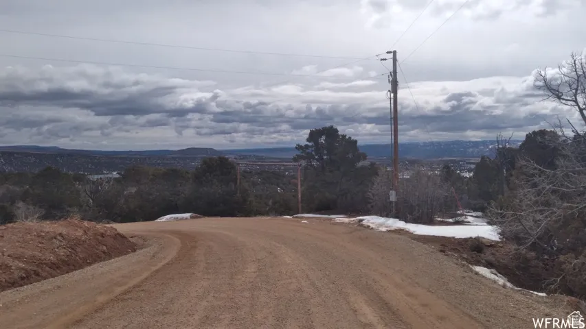Rural dirt road with a distant landscape, framed by natural foliage and an overhead power line