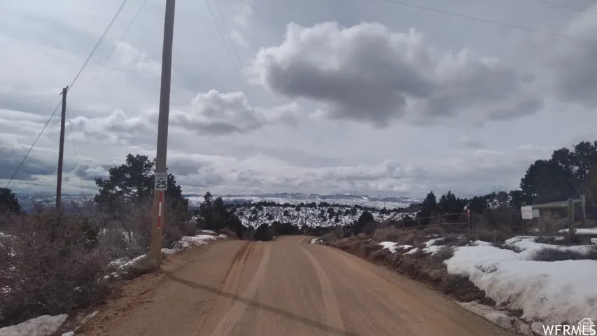 Unpaved road with natural terrain, featuring evergreen vegetation and distant snow-capped mountains