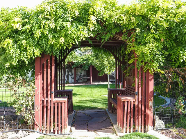 Wood pergola with integrated seating, lush overhead foliage, and a stone-paver pathway