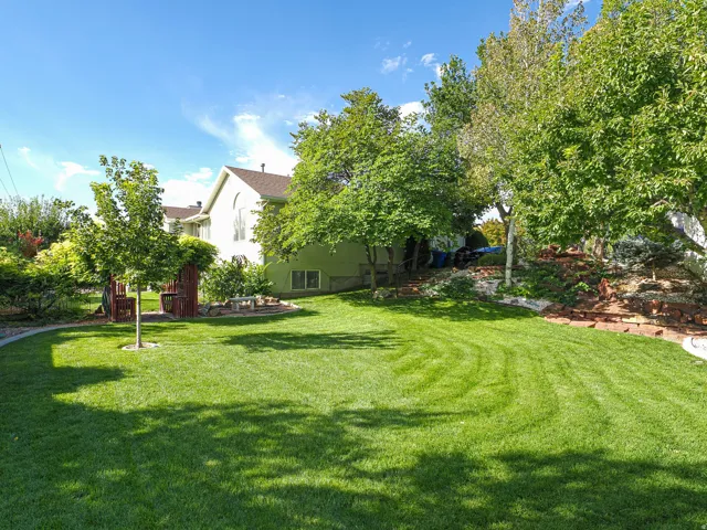 Expansive lawn area with mature trees and a sloped, landscaped retaining wall