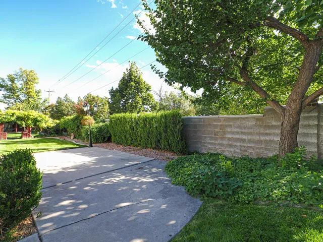 Paved walkway with an ornamental lamp post, bordered by manicured hedges and a mature tree