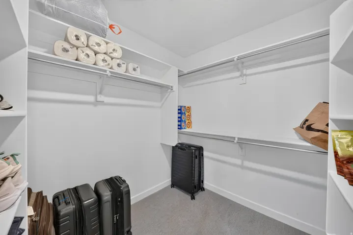Walk-in closet featuring white built-in shelving, white walls, gray carpet flooring, and clothing rods