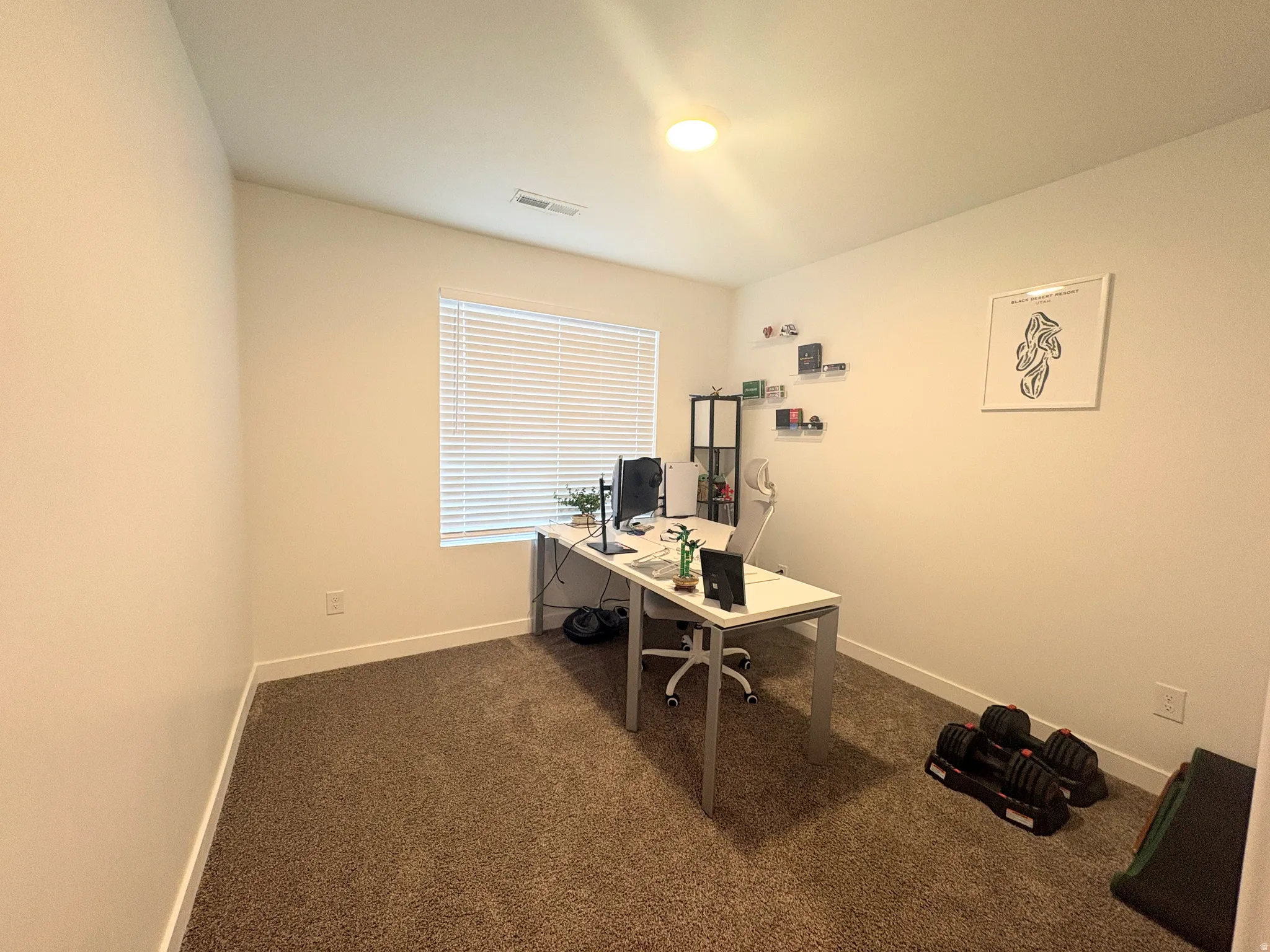 Carpeted room featuring a window with horizontal blinds, a ceiling-mounted light fixture, and white painted walls