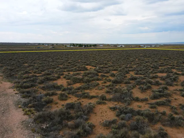 Expansive desert landscape featuring natural vegetation and distant structures under an open sky