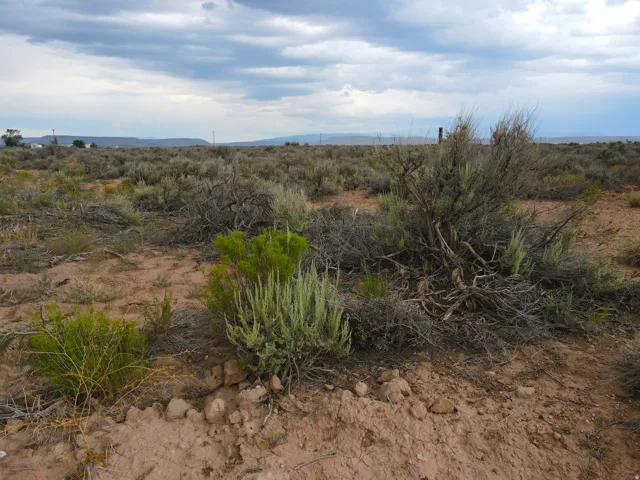 Expansive undeveloped land featuring natural desert vegetation, varied shrubbery, and distant terrain