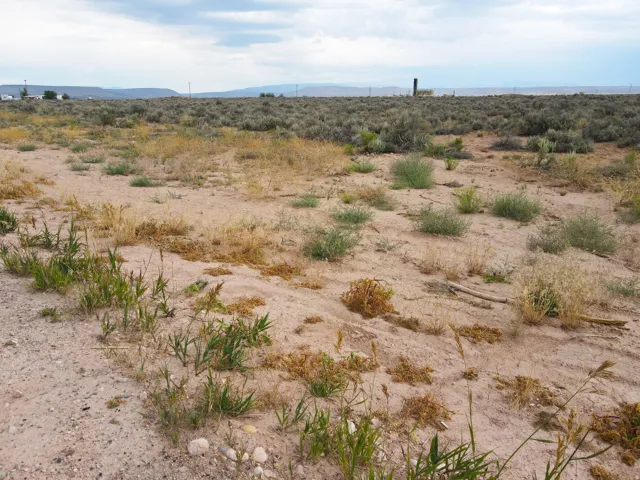 Expansive desert landscape with natural vegetation