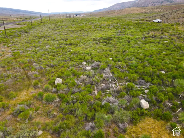 Expansive undeveloped land featuring natural vegetation and distant mountainous terrain