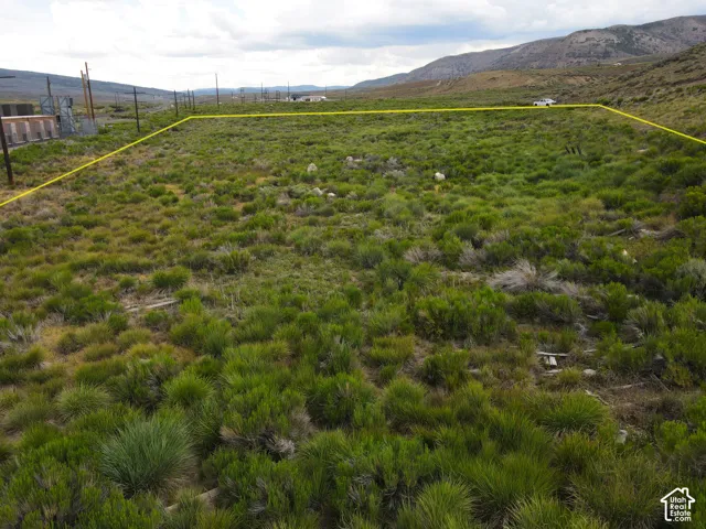 Expansive parcel featuring natural vegetation and distant hillside terrain