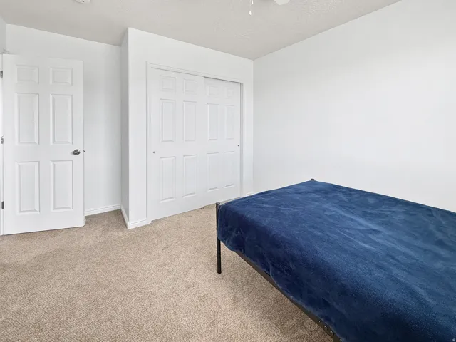 Neutral tone wall paint, textured carpet flooring, six-panel interior door, and a two-panel sliding closet door