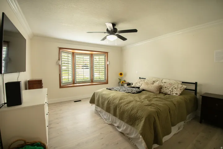 Spacious room featuring a multi-pane bay window with louvered shutters, crown molding, a ceiling fan, and light wood-finish flooring