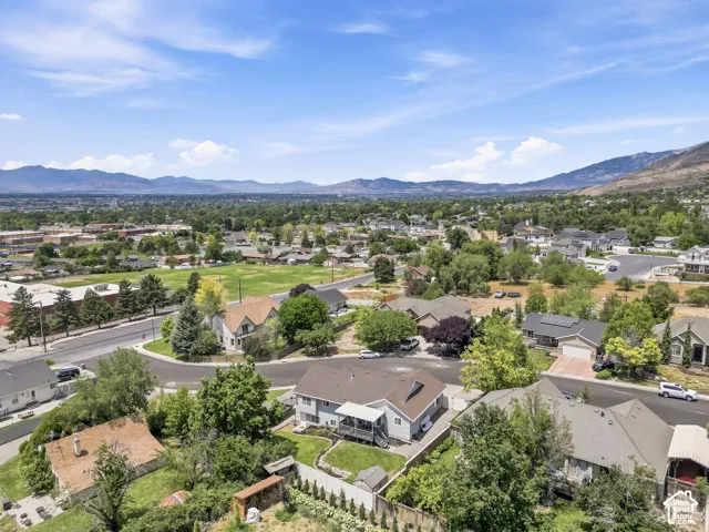 Aerial perspective showcasing a residential area with varied home styles and mature landscaping
