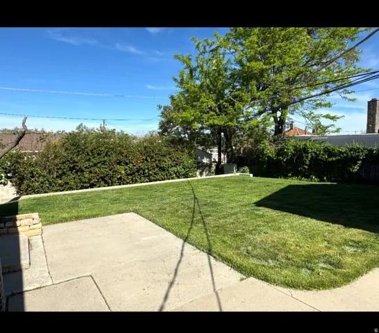 Expansive green lawn with concrete patio, bordered by mature privacy hedges and established trees