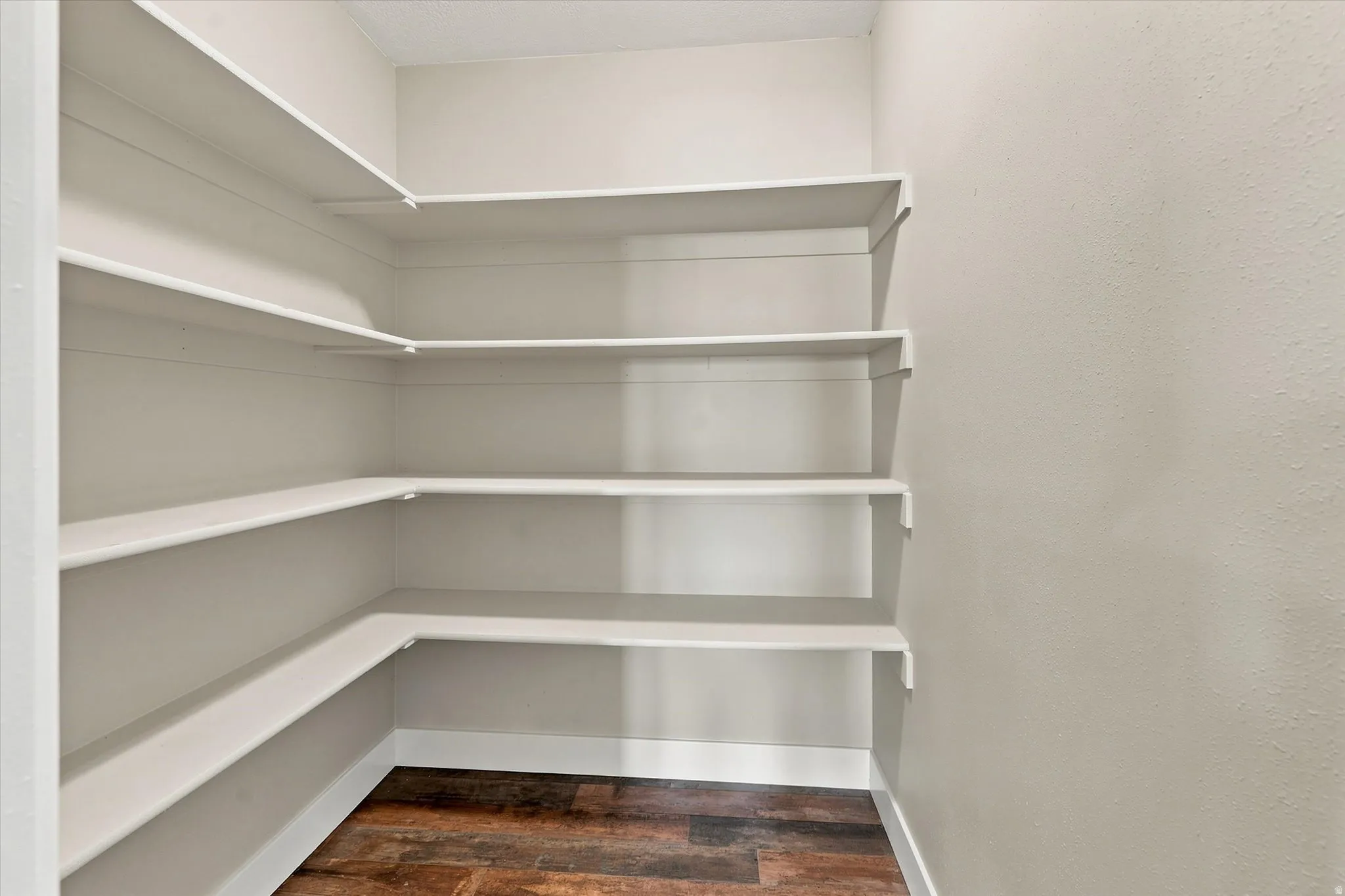 Pantry featuring extensive built-in shelving, wood-finish flooring, and light-toned walls