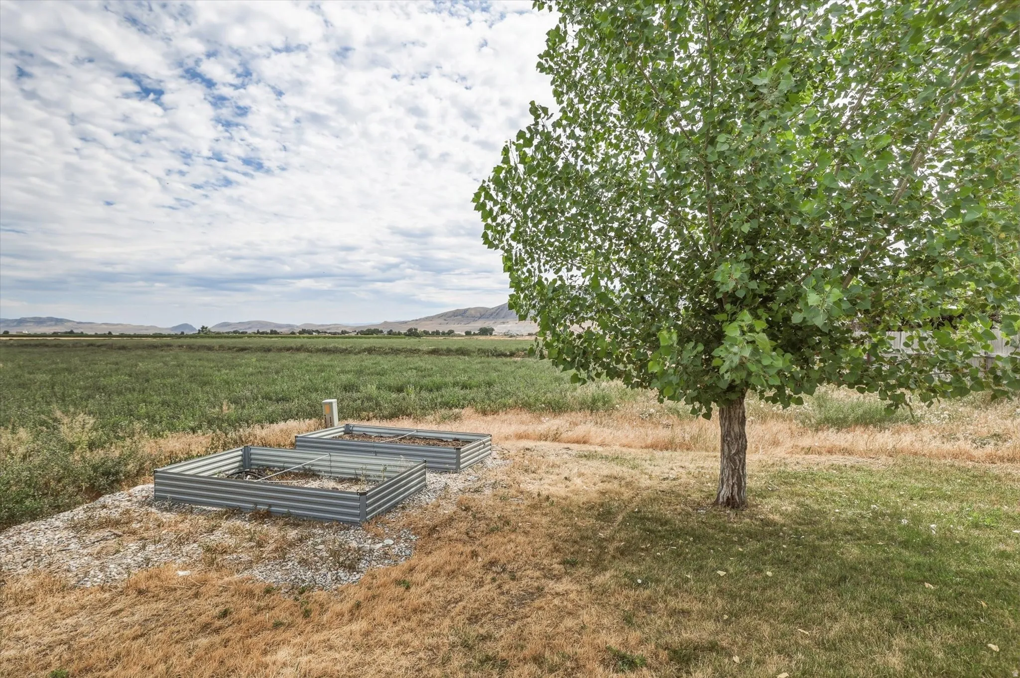 Expansive outdoor space featuring a mature deciduous tree, two corrugated metal raised garden beds, and a verdant field extending to distant mountains