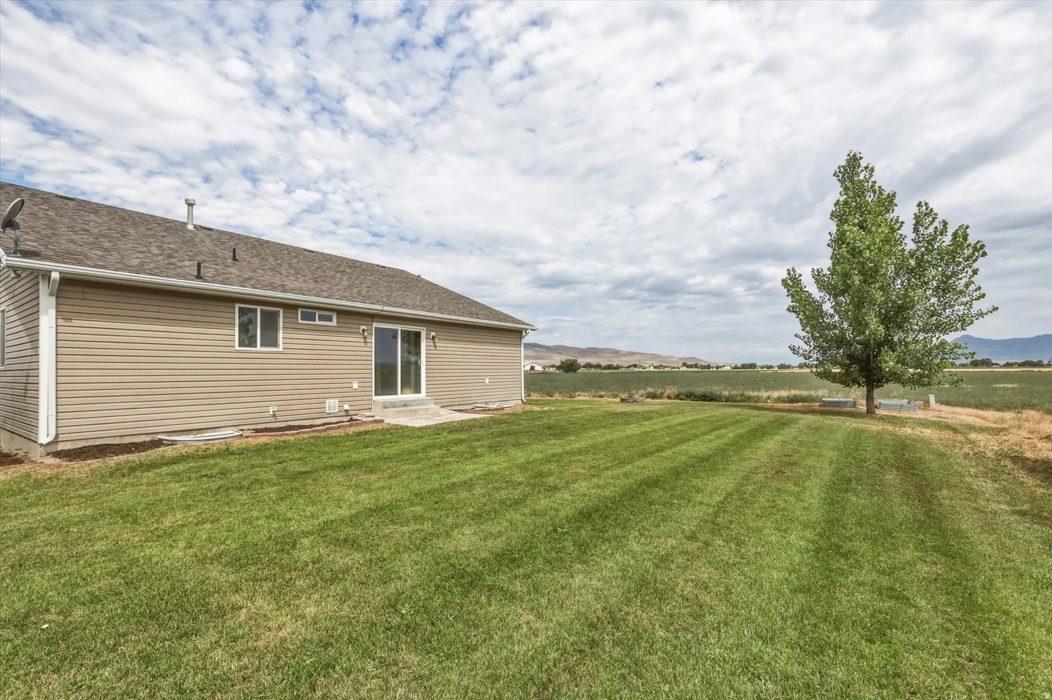 Expansive green lawn with mature tree, providing a natural boundary