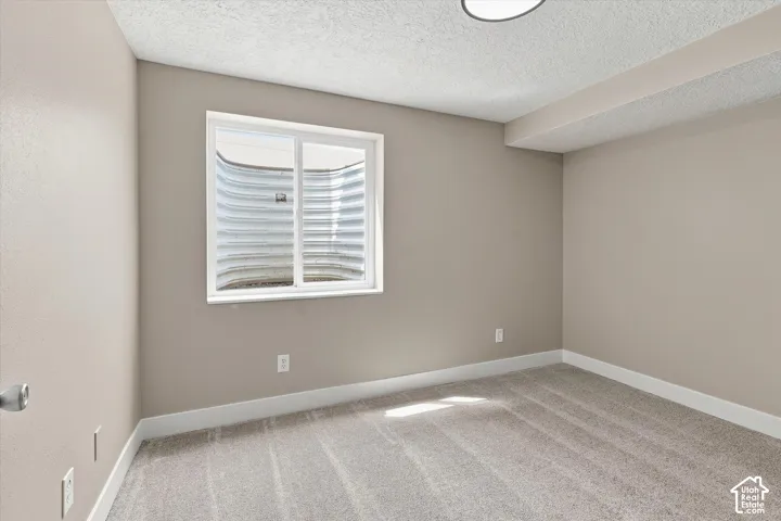 Room featuring plush carpet flooring, neutral-toned walls, and a recessed ceiling light fixture