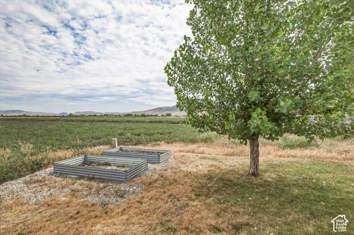 Expansive outdoor space featuring a mature deciduous tree, two corrugated metal raised garden beds, and a verdant field extending to distant mountains