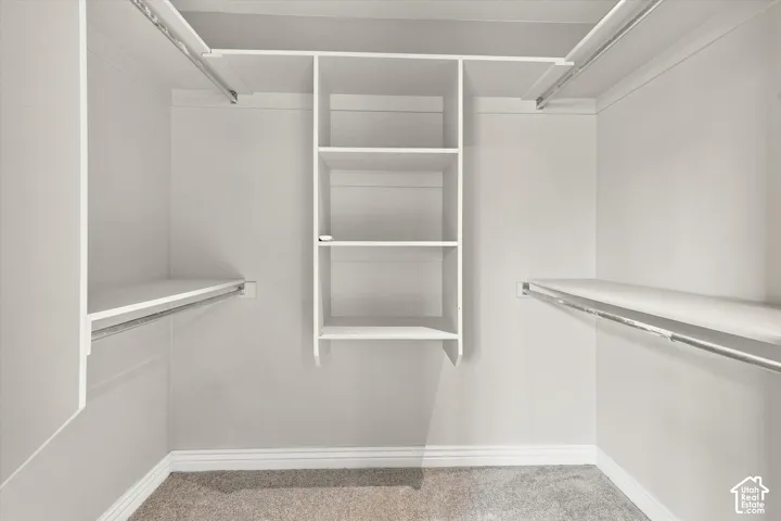 Walk-in closet featuring white built-in shelving, multiple hanging rods, and carpet flooring