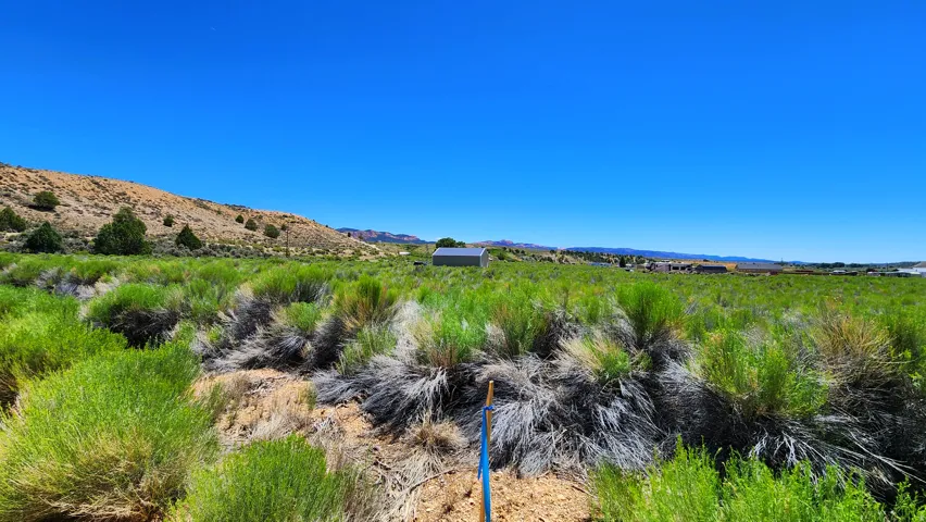 Expansive undeveloped land with natural vegetation and distant hills