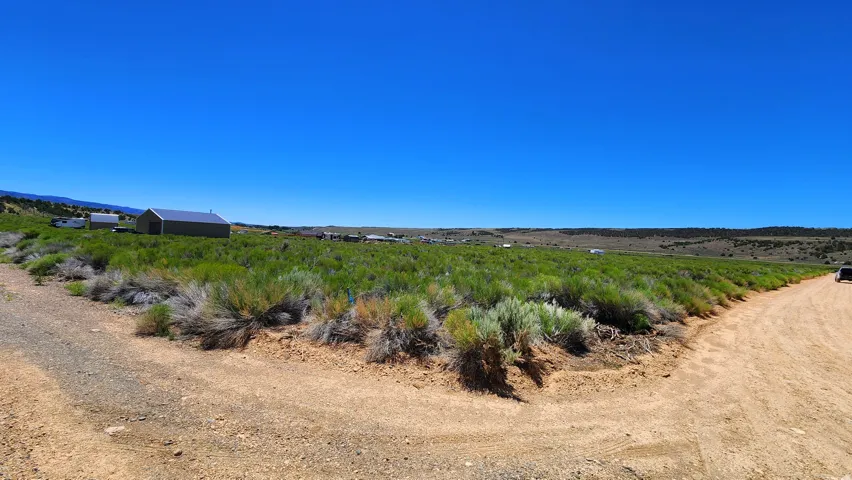 Expansive open land with natural shrubbery and a clear blue sky