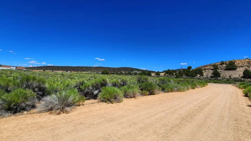 Expansive open land with natural shrubbery and an unpaved road