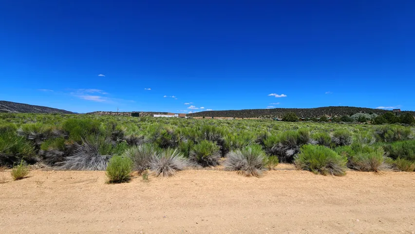 Expansive undeveloped land featuring natural desert vegetation, distant mountains, and a clear blue sky