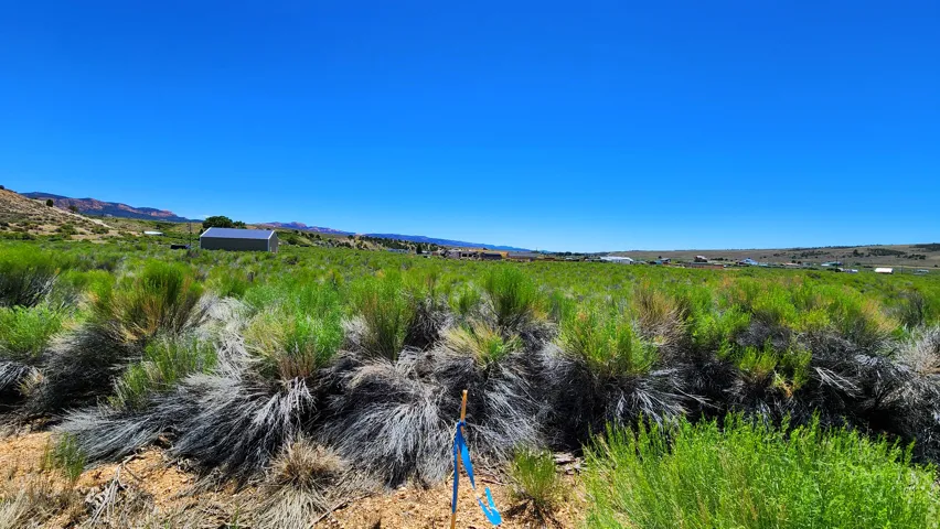 Expansive open land with natural shrubbery and distant structures under a clear sky