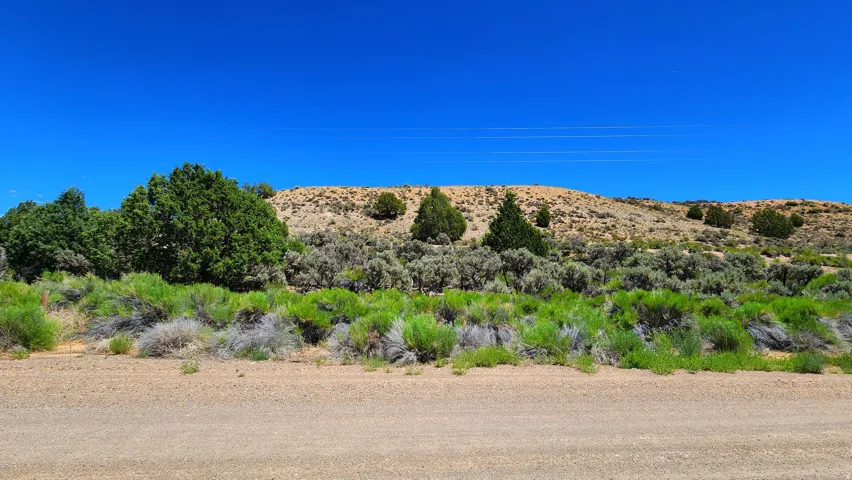 Expansive desert landscape featuring varied shrubbery and scattered evergreen trees