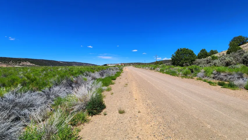 Gravel road with surrounding natural vegetation and distant rolling hills