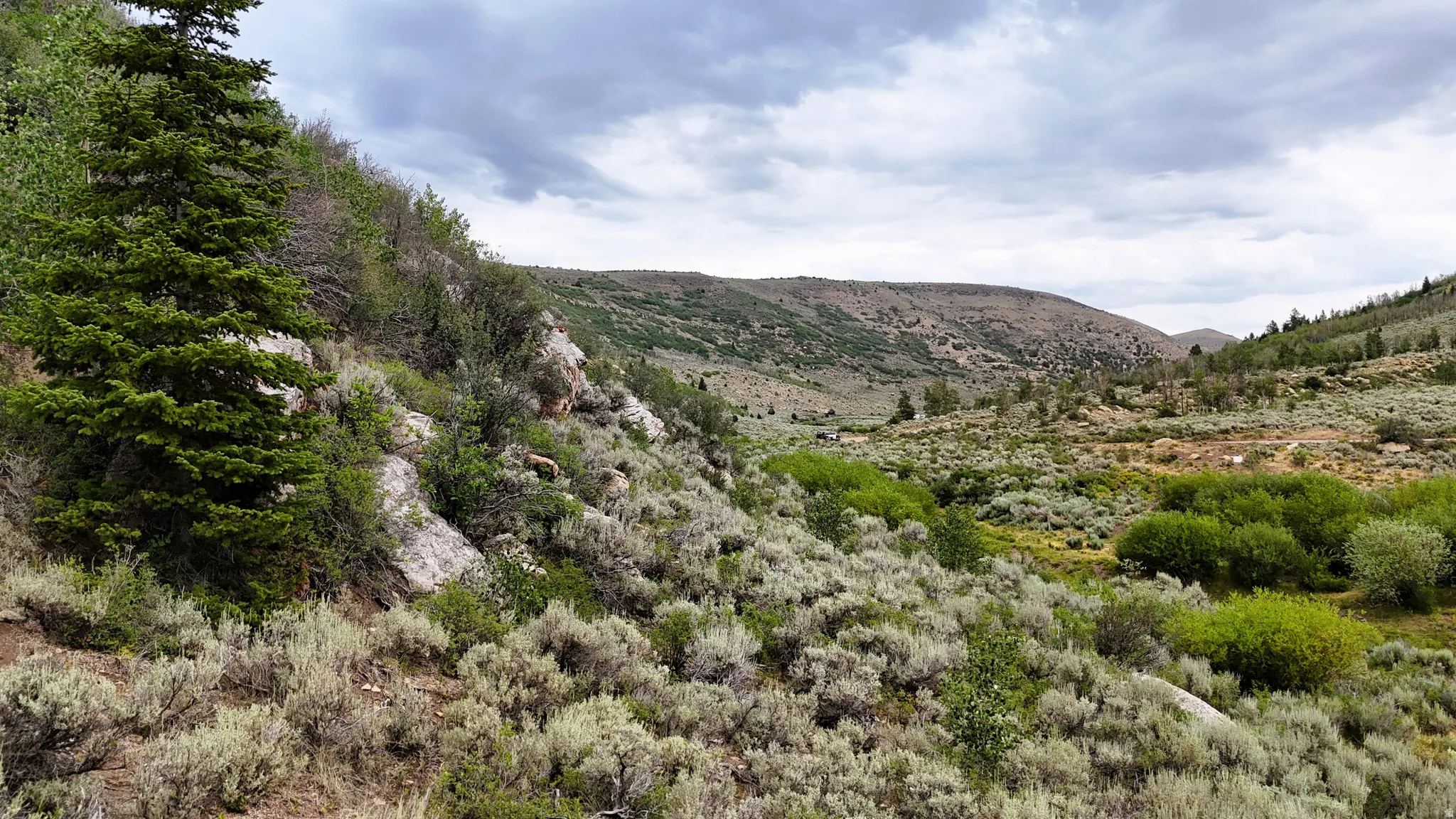Rolling hills covered in sagebrush and diverse foliage
