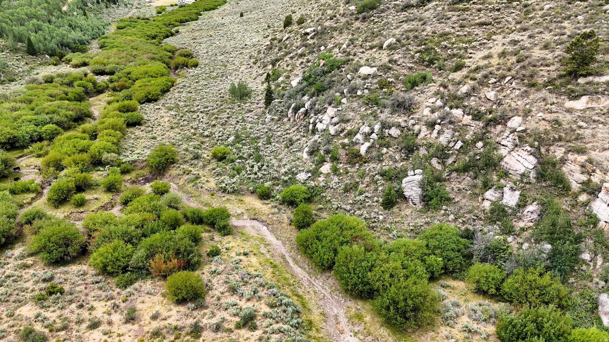 Varied terrain with natural rock formations, abundant shrubbery, and a winding dirt path