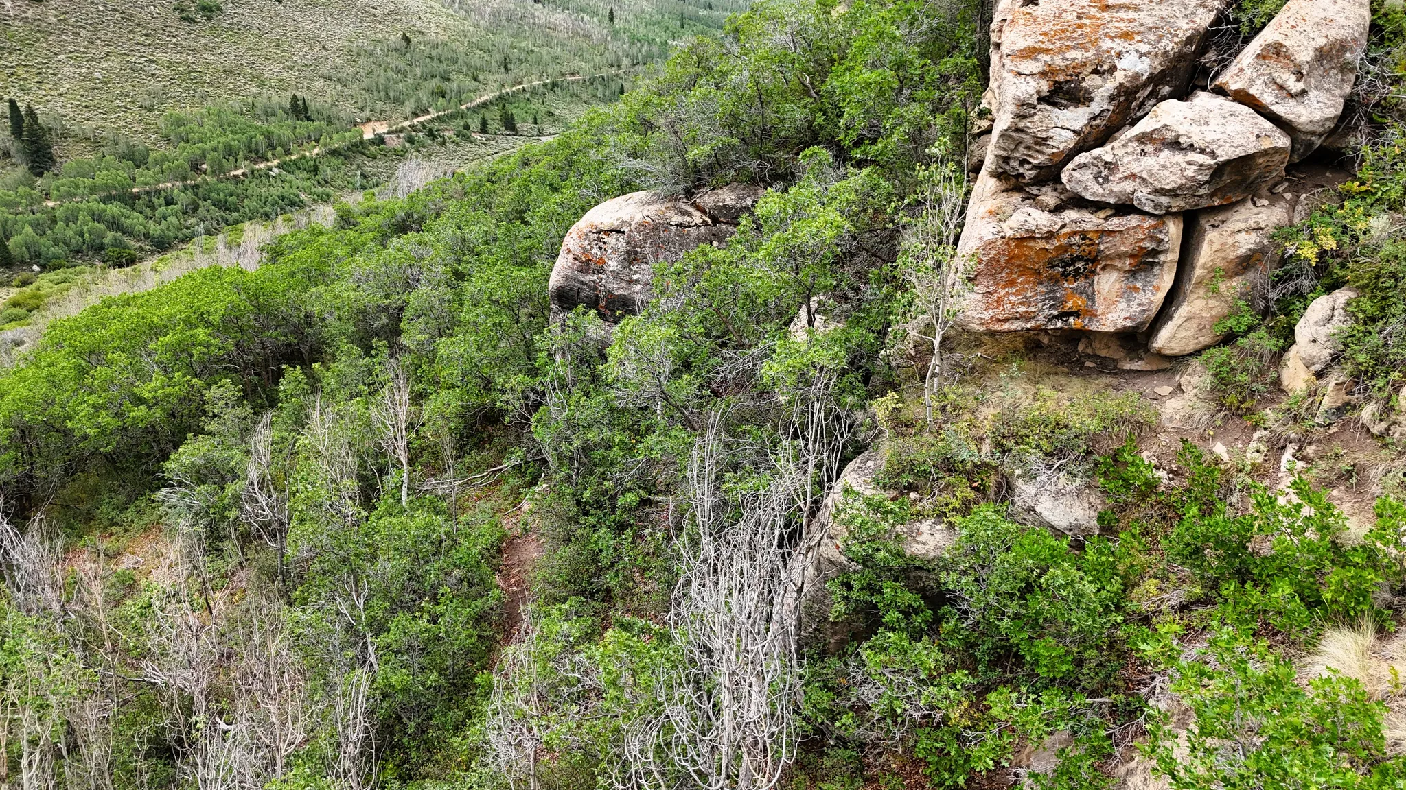 Natural rock formations with green foliage and a distant unpaved road