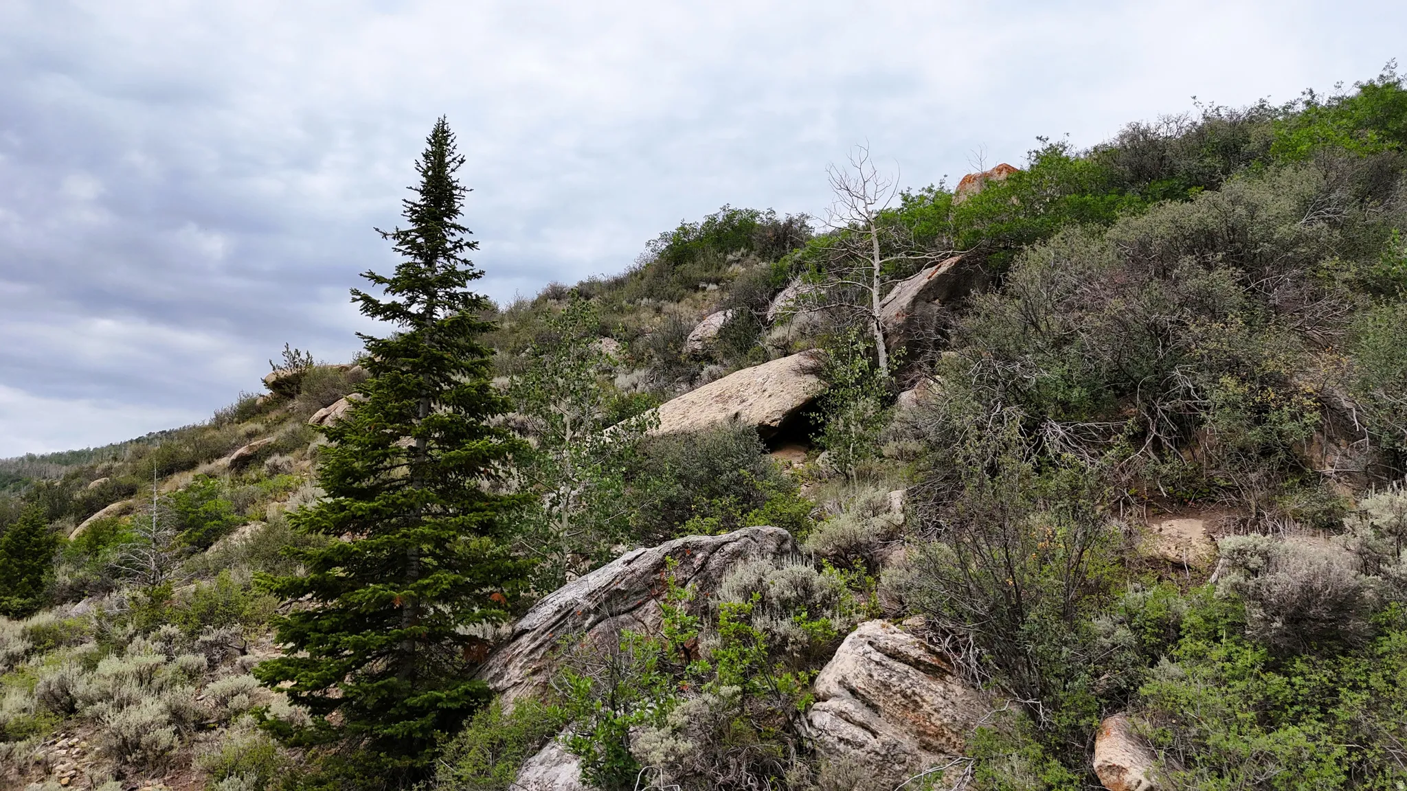 Sloping terrain featuring natural rock formations and varied vegetation
