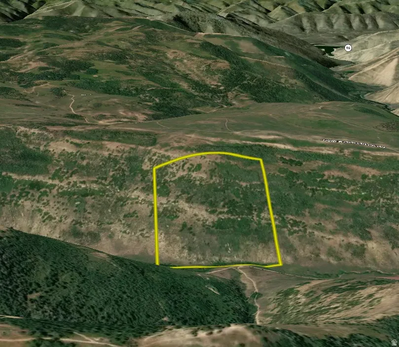 Property Boundary Overlay. An aerial representation of the property's perimeter within its topographical context