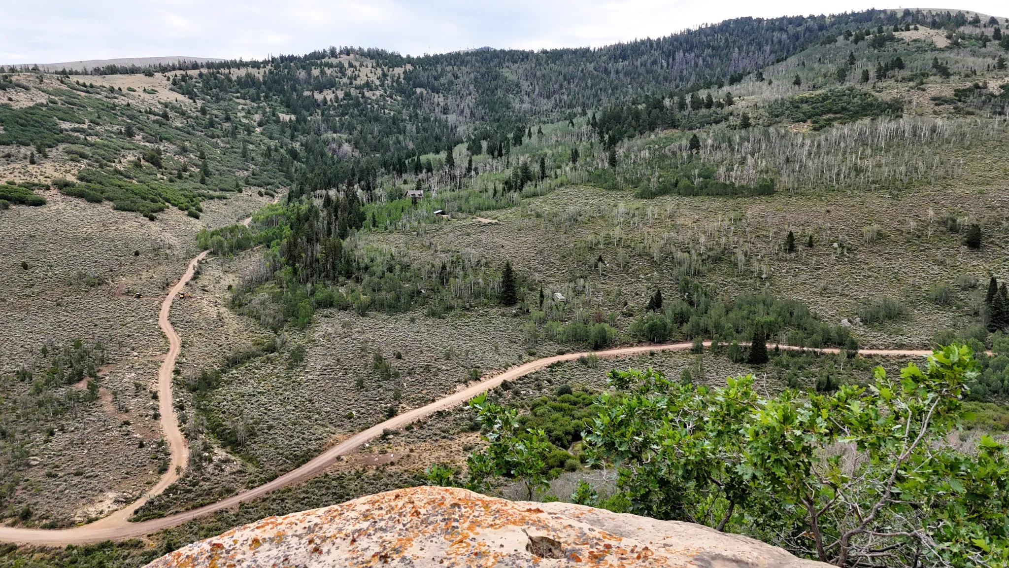 Expansive mountain landscape featuring varied terrain, a winding dirt road, and abundant tree coverage including evergreen and deciduous species