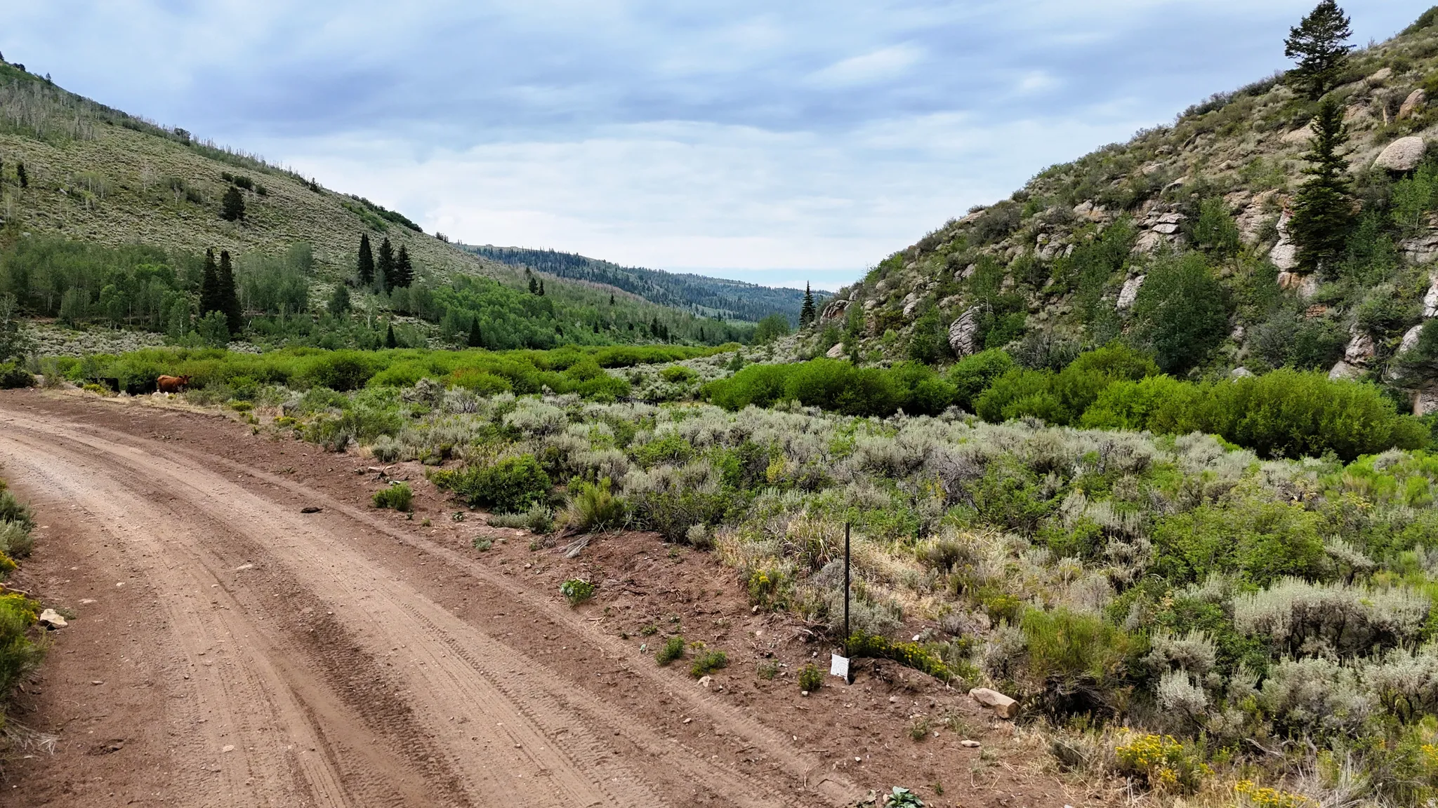 Dirt road winding through a verdant valley, flanked by tree-covered hillsides