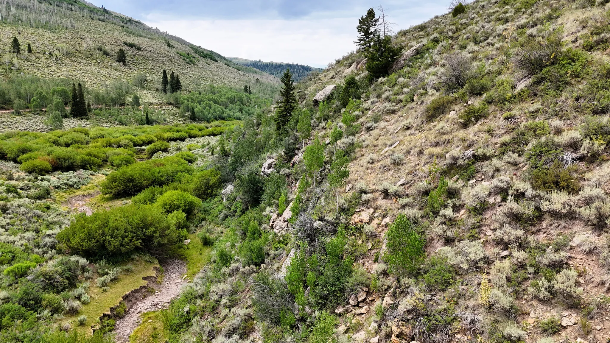 Expansive valley terrain featuring varied vegetation and mountainous backdrops