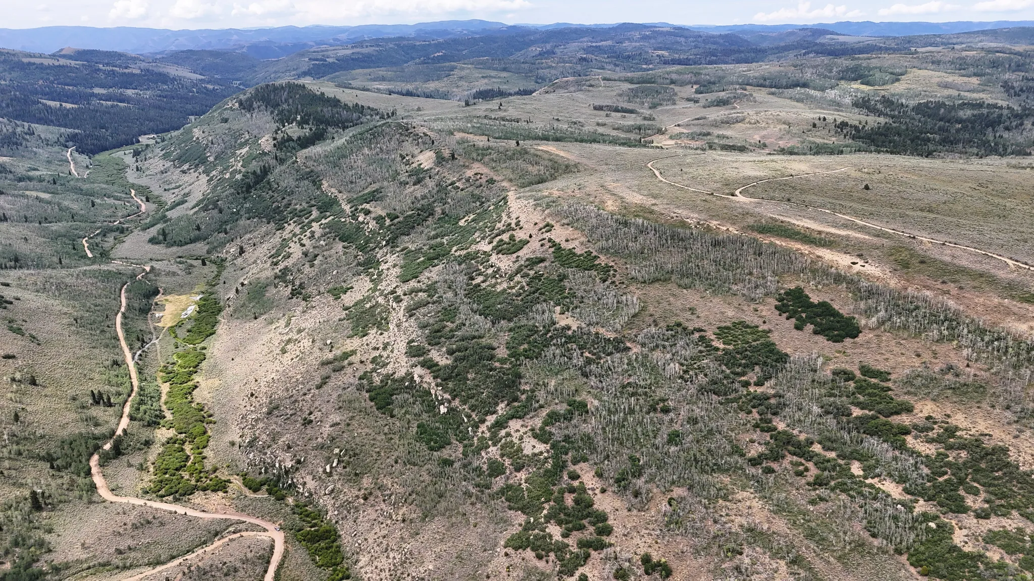 Expansive mountainous terrain featuring diverse vegetation and winding dirt roads