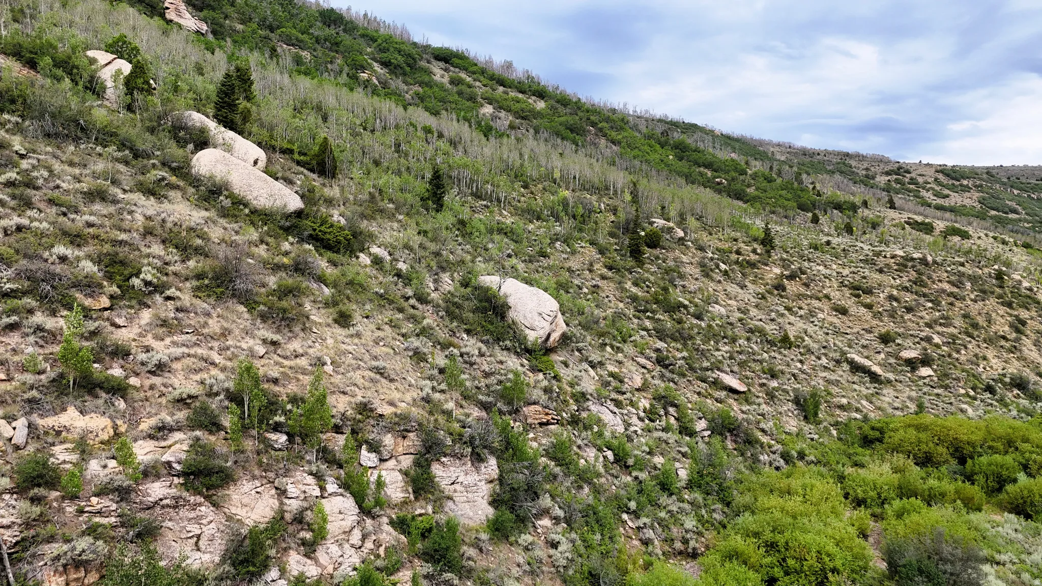 Mountainous terrain featuring diverse vegetation, exposed rock formations, and varied shrubbery