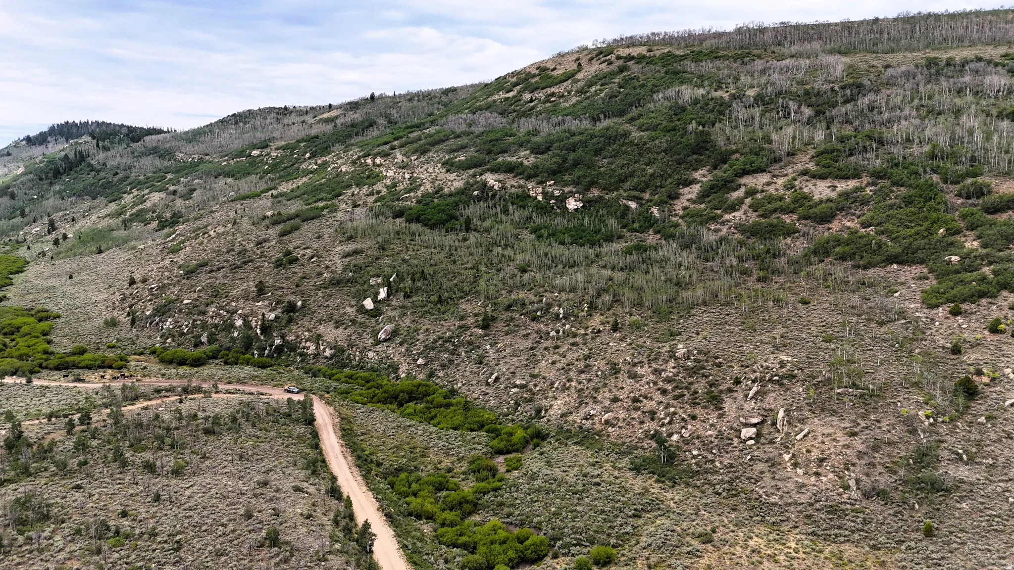 Winding dirt road traversing expansive, undeveloped terrain
