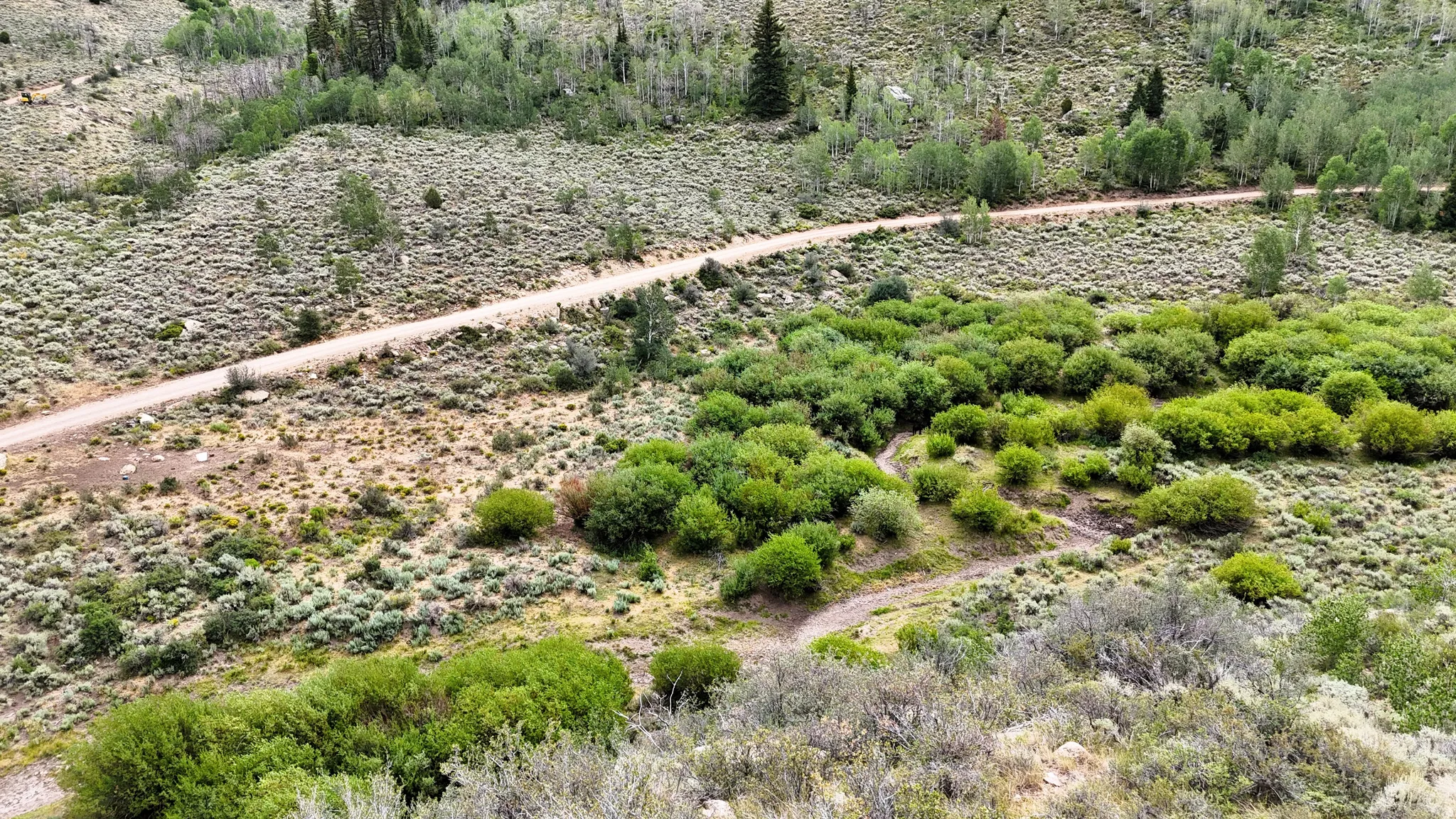 Expansive rugged terrain featuring a winding dirt road and diverse natural vegetation
