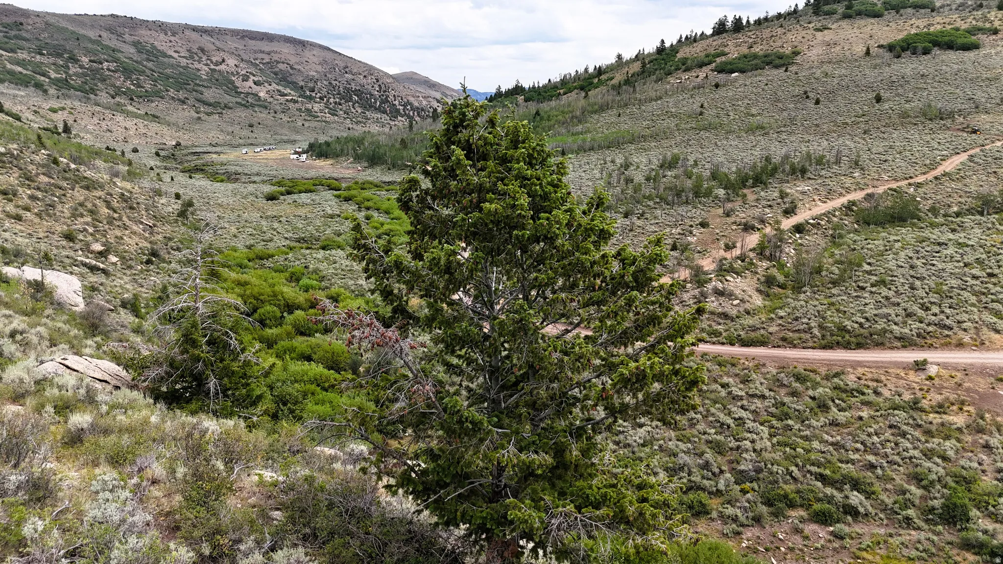 Mountainous terrain featuring diverse vegetation, a winding dirt road, and a distant valley with light-colored structures