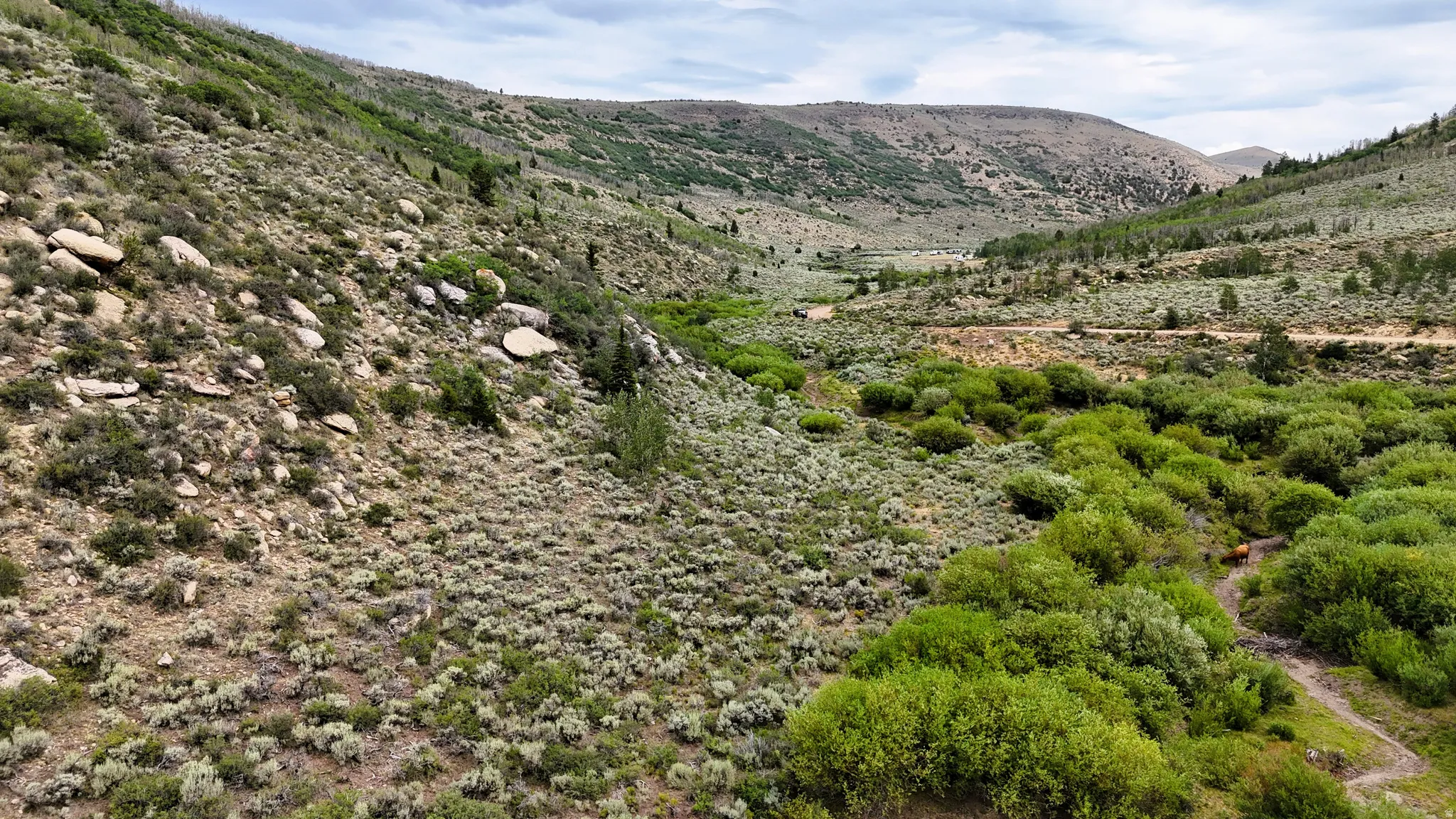 Expansive natural landscape featuring rolling hills, varied vegetation, and a winding dirt path