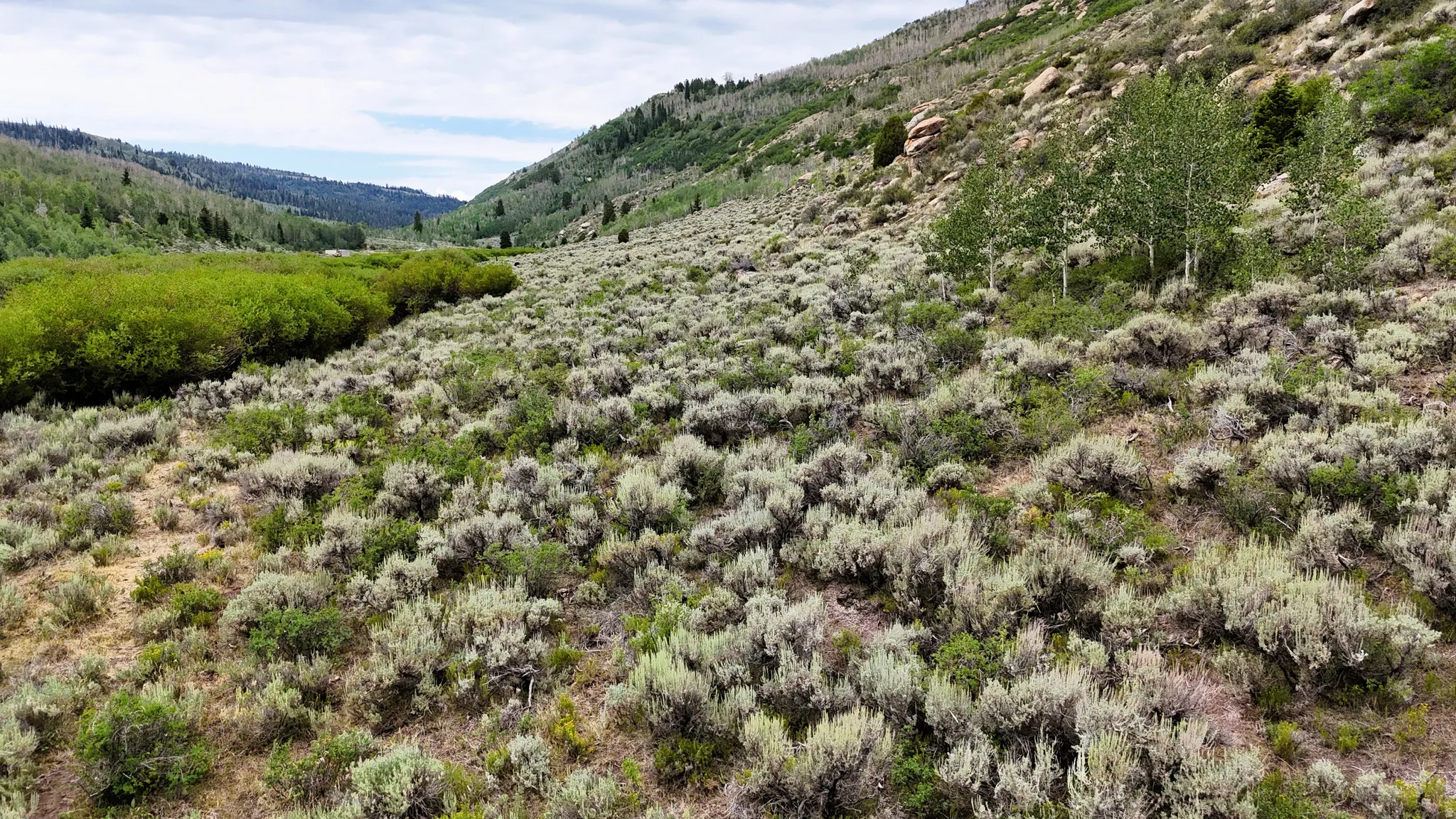 Expansive natural landscape featuring a sloped terrain