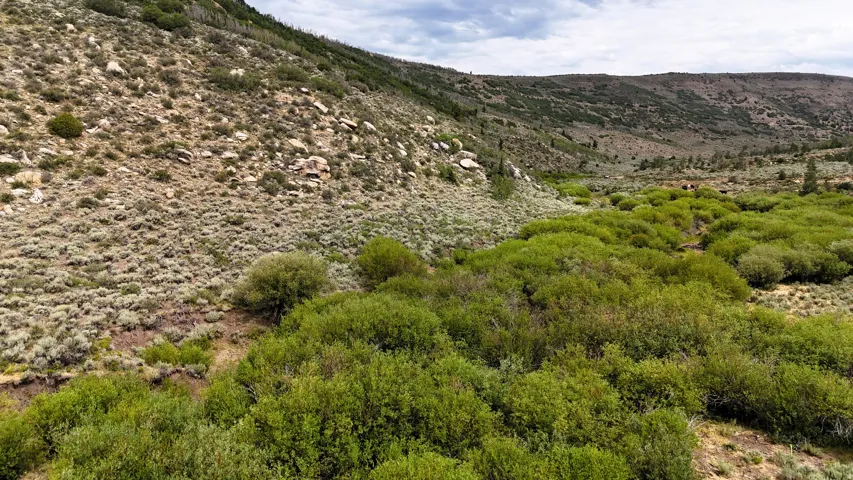 Lush, green shrubbery populating a natural valley with sloping, rocky terrain