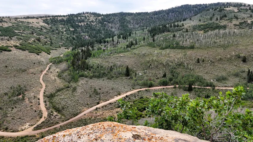 Expansive mountain landscape featuring varied terrain, a winding dirt road, and abundant tree coverage including evergreen and deciduous species